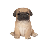 SoReal - Baby Pug Brown