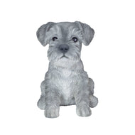 SoReal - Baby Schnauzer