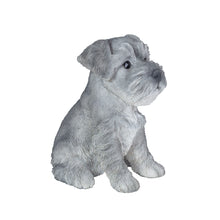 Load image into Gallery viewer, SoReal - Baby Schnauzer
