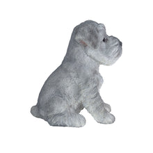 Load image into Gallery viewer, SoReal - Baby Schnauzer
