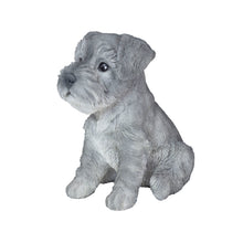 Load image into Gallery viewer, SoReal - Baby Schnauzer
