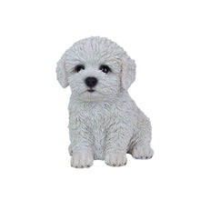 Load image into Gallery viewer, SoReal - Baby Bichon Frise

