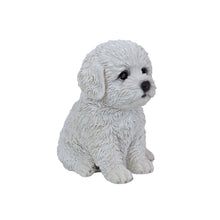 Load image into Gallery viewer, SoReal - Baby Bichon Frise
