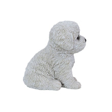 Load image into Gallery viewer, SoReal - Baby Bichon Frise
