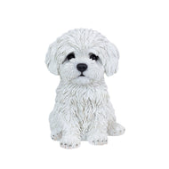 SoReal - Baby Maltese