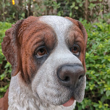 Load image into Gallery viewer, Alpine Guardian: Saint Bernard Polyresin Figurine in White and Brown
