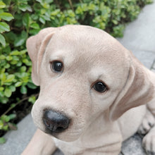 Load image into Gallery viewer, Golden Dreams: Lying Yellow Labrador Polyresin Figurine
