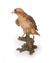Load image into Gallery viewer, Red Tail hawk Standing on Branch
