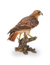 Load image into Gallery viewer, Red Tail hawk Standing on Branch

