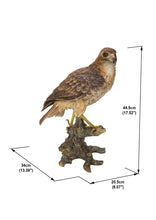 Load image into Gallery viewer, 87634 - Wild Hawk standing on branch Garden Statue
