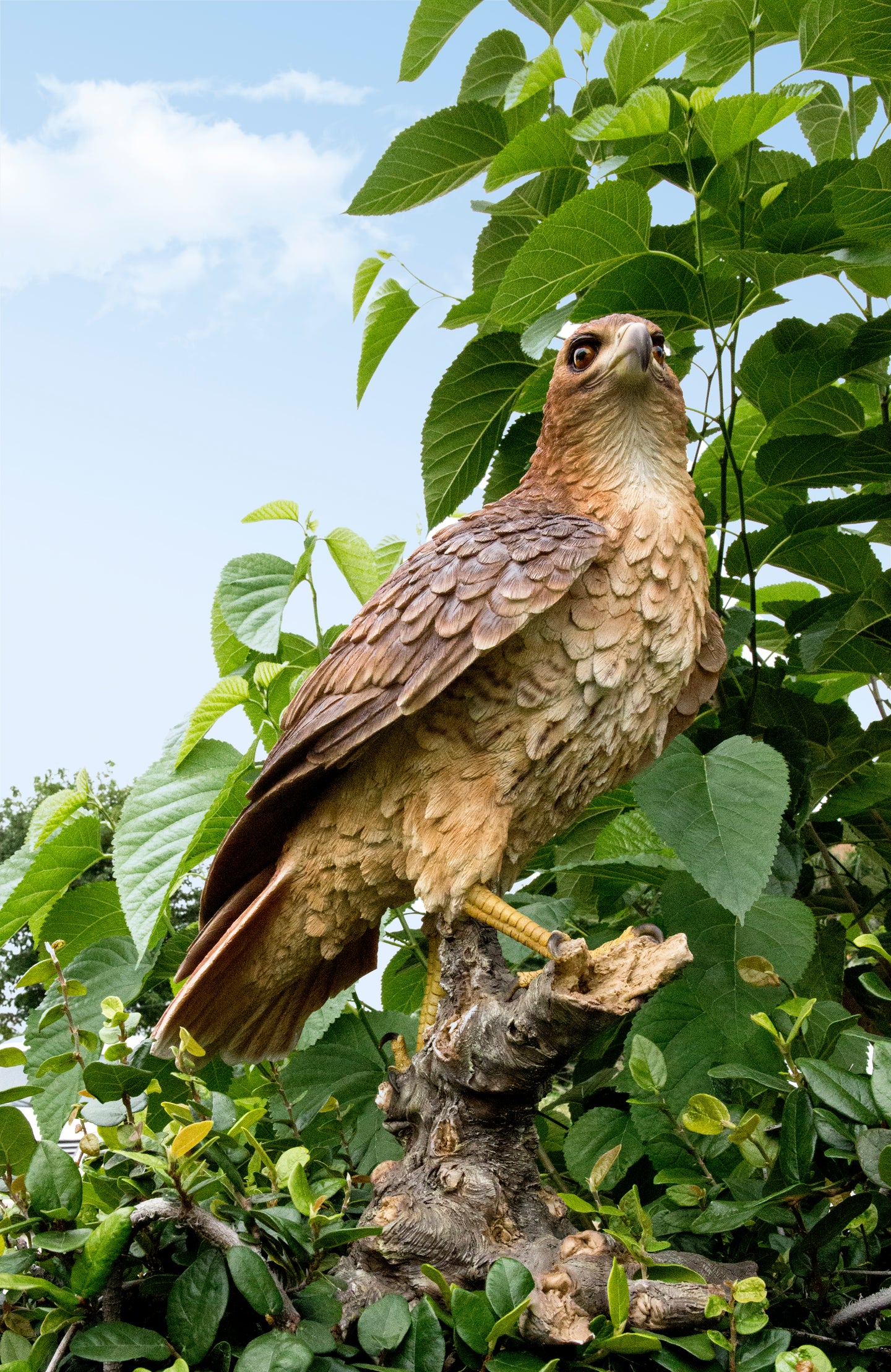 87634 - Wild Hawk standing on branch Garden Statue