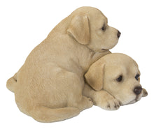 Load image into Gallery viewer, Baby Labradors Playing
