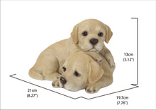 Load image into Gallery viewer, Baby Labradors Playing
