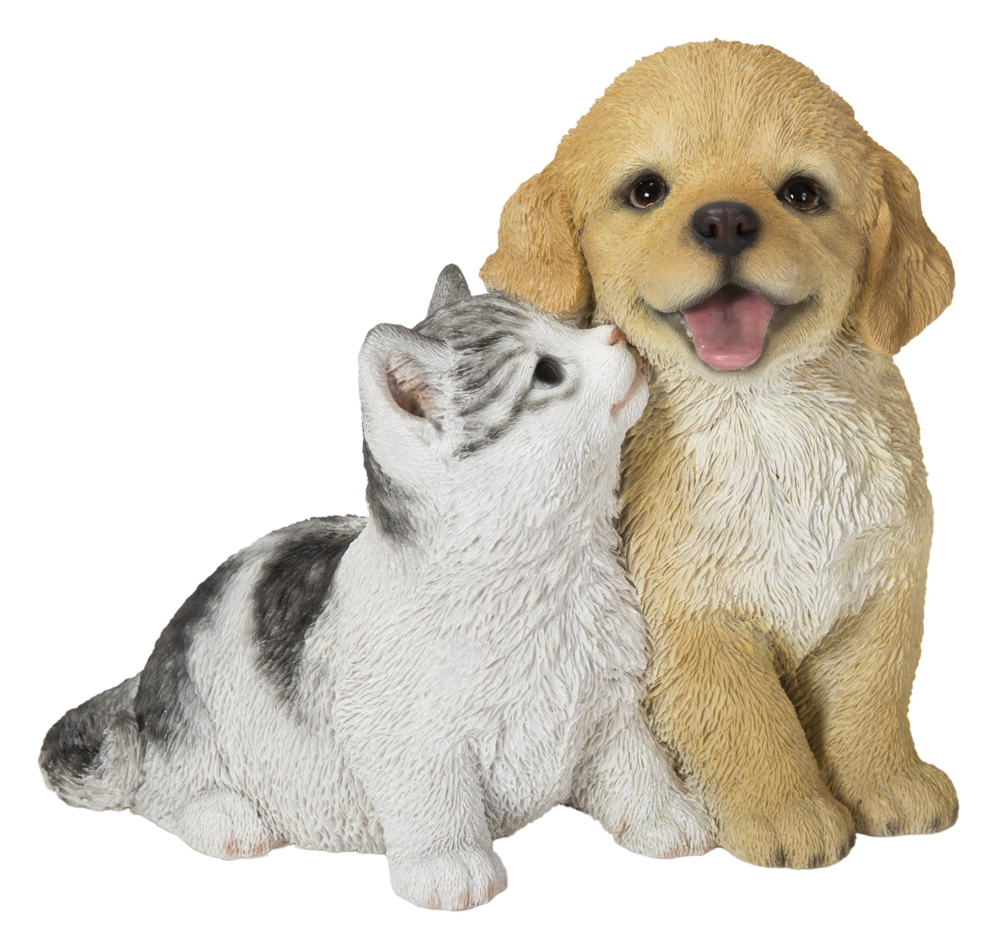 Golden Retriever & Kitten