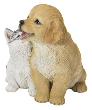 Load image into Gallery viewer, Golden Retriever &amp; Kitten
