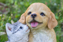 Load image into Gallery viewer, Golden Retriever &amp; Kitten
