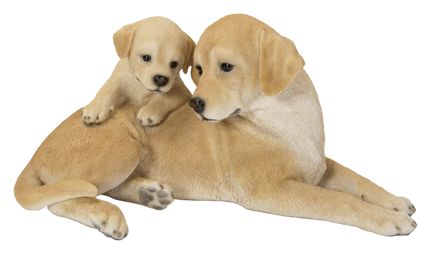Mother & Baby Labrador