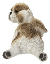 Load image into Gallery viewer, Mother &amp; Baby Shih Tzu
