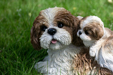 Load image into Gallery viewer, Mother &amp; Baby Shih Tzu
