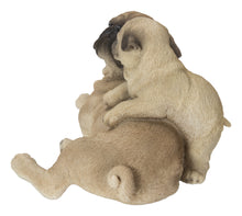 Load image into Gallery viewer, Mother &amp; Baby Pugs
