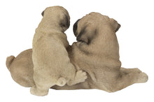 Load image into Gallery viewer, Mother &amp; Baby Pugs
