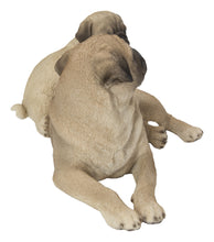 Load image into Gallery viewer, Mother &amp; Baby Pugs
