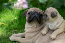 Load image into Gallery viewer, Mother &amp; Baby Pugs
