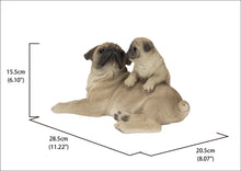 Load image into Gallery viewer, Mother &amp; Baby Pugs
