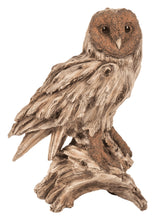Load image into Gallery viewer, Driftwood Barn Owl On Stump Statue
