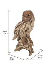 Load image into Gallery viewer, Driftwood Barn Owl On Stump Statue
