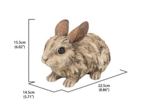 Load image into Gallery viewer, Large Driftwood Rabbit Statue
