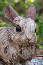 Load image into Gallery viewer, Small Driftwood Rabbit Statue
