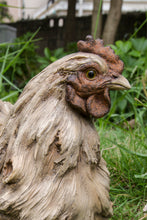 Load image into Gallery viewer, Driftwood Squatting Hen Statue
