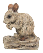 Load image into Gallery viewer, Mouse -Driftwood LookMouse -Driftwood Look
