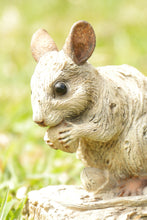 Load image into Gallery viewer, Mouse -Driftwood LookMouse -Driftwood Look
