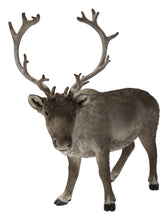 Load image into Gallery viewer, Reindeer Standing
