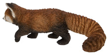 Load image into Gallery viewer, Red Panda Cub Walking
