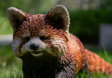 Load image into Gallery viewer, Red Panda Cub Walking
