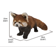 Load image into Gallery viewer, Red Panda Cub Walking
