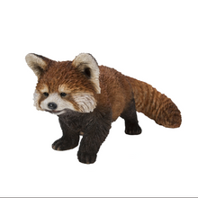 Load image into Gallery viewer, Red Panda Cub Walking
