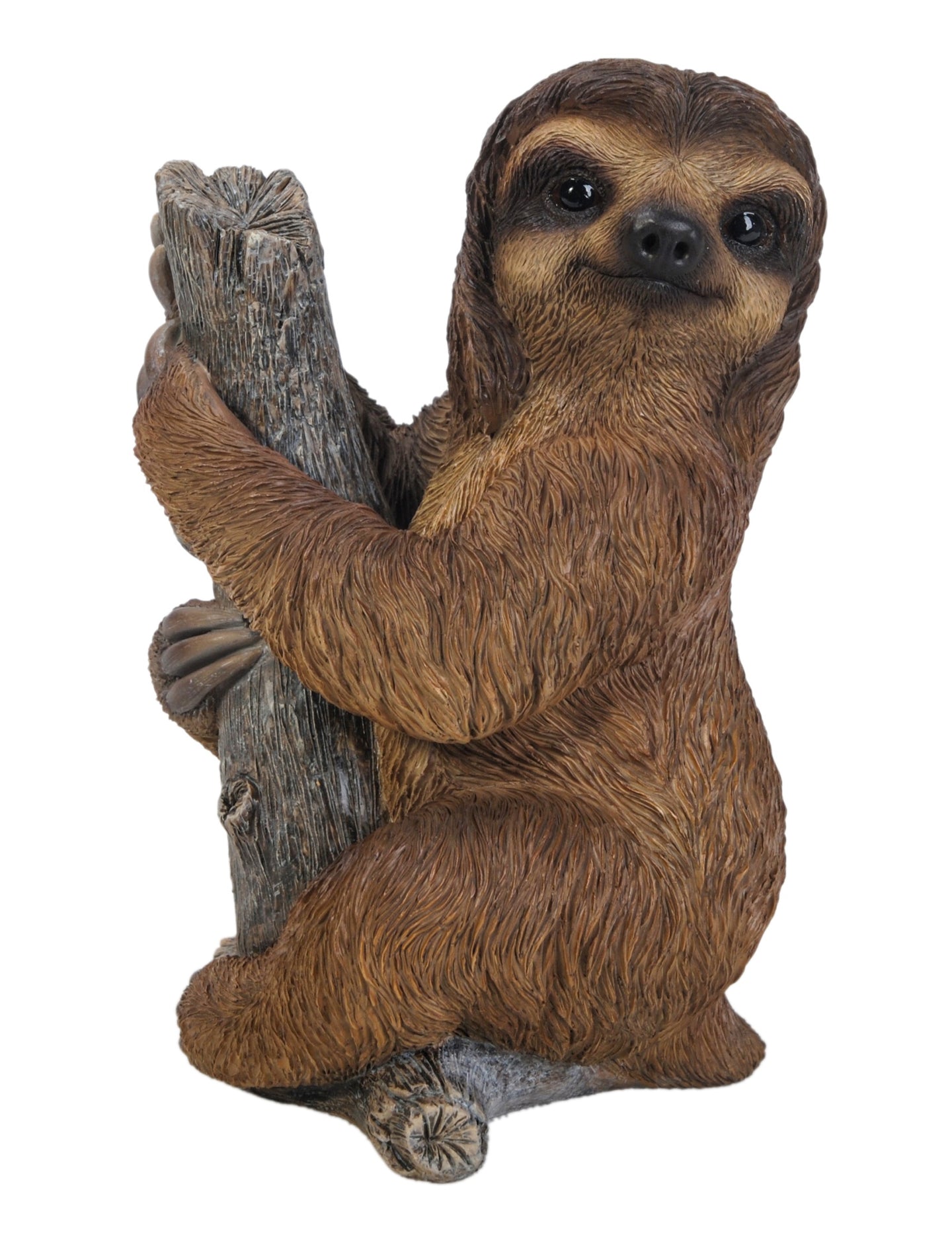 Pet Sloth