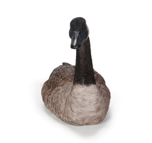 Load image into Gallery viewer, Sitting Canadian Goose Garden Statue
