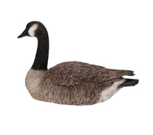 Load image into Gallery viewer, Sitting Canadian Goose Garden Statue
