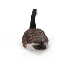 Load image into Gallery viewer, Sitting Canadian Goose Garden Statue
