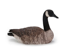 Load image into Gallery viewer, Sitting Canadian Goose Garden Statue
