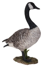 Load image into Gallery viewer, Standing Canada Goose Statue
