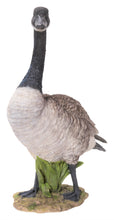 Load image into Gallery viewer, Standing Canada Goose Statue
