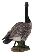 Load image into Gallery viewer, Standing Canada Goose Statue
