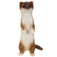 Load image into Gallery viewer, Standing Least Weasel Statue
