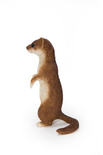 Load image into Gallery viewer, Standing Least Weasel Statue
